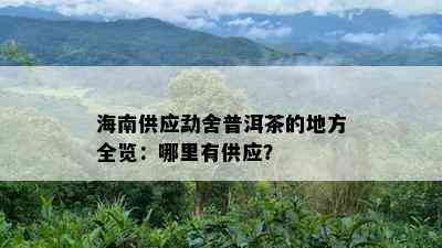 海南供应勐舍普洱茶的地方全览：哪里有供应？