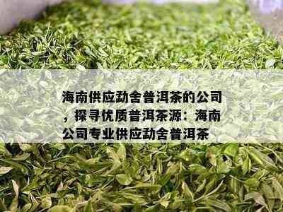 海南供应勐舍普洱茶的公司，探寻优质普洱茶源：海南公司专业供应勐舍普洱茶