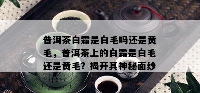 普洱茶白霜是白毛吗还是黄毛，普洱茶上的白霜是白毛还是黄毛？揭开其神秘面纱