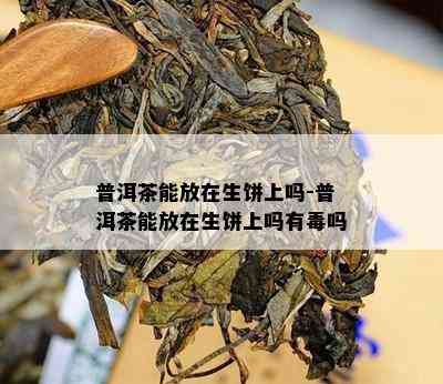 普洱茶能放在生饼上吗-普洱茶能放在生饼上吗有吗