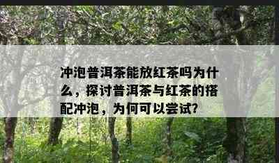 冲泡普洱茶能放红茶吗为什么，探讨普洱茶与红茶的搭配冲泡，为何可以尝试？