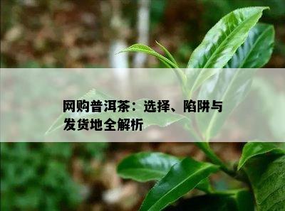 网购普洱茶：选择、陷阱与发货地全解析