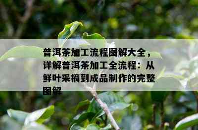 普洱茶加工流程图解大全，详解普洱茶加工全流程：从鲜叶采摘到成品制作的完整图解