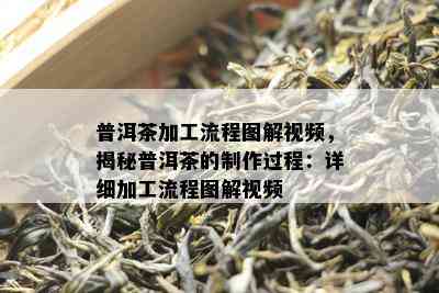 普洱茶加工流程图解视频，揭秘普洱茶的制作过程：详细加工流程图解视频