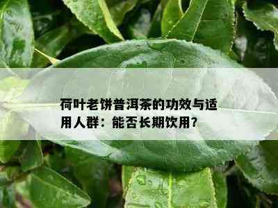 荷叶老饼普洱茶的功效与适用人群：能否长期饮用？