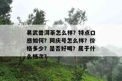 易武普洱茶怎么样？特点口感如何？同庆号怎么样？价格多少？是否好喝？属于什么档次？