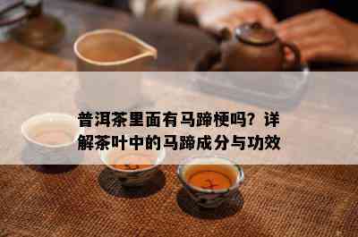 普洱茶里面有马蹄梗吗？详解茶叶中的马蹄成分与功效