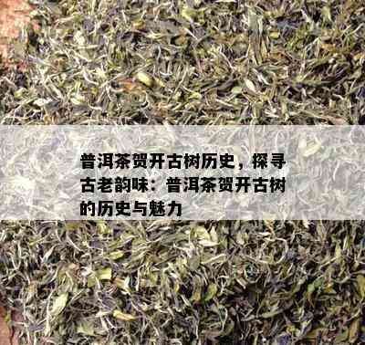 普洱茶贺开古树历史，探寻古老韵味：普洱茶贺开古树的历史与魅力