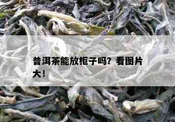 普洱茶能放柜子吗？看图片大！