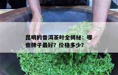 昆明的普洱茶叶全揭秘：哪些牌子更好？价格多少？