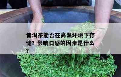 普洱茶能否在高温环境下存储？影响口感的因素是什么？