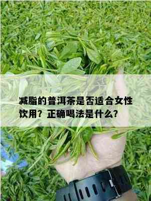 减脂的普洱茶是否适合女性饮用？正确喝法是什么？