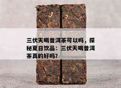 三伏天喝普洱茶可以吗，探秘夏日饮品：三伏天喝普洱茶真的好吗？