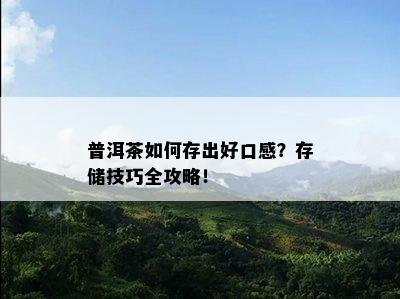 普洱茶如何存出好口感？存储技巧全攻略！