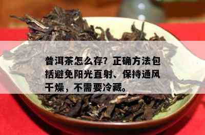 普洱茶怎么存？正确方法包括避免阳光直射、保持通风干燥，不需要冷藏。