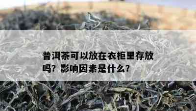 普洱茶可以放在衣柜里存放吗？影响因素是什么？