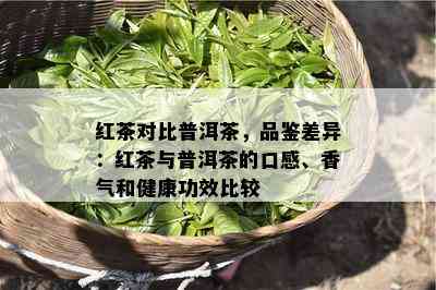 红茶对比普洱茶，品鉴差异：红茶与普洱茶的口感、香气和健康功效比较