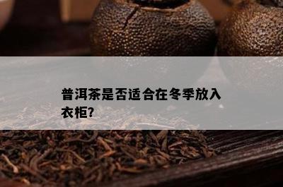 普洱茶是否适合在冬季放入衣柜？