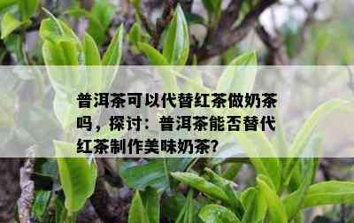 普洱茶可以代替红茶做奶茶吗，探讨：普洱茶能否替代红茶制作美味奶茶？