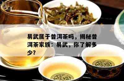 易武属于普洱茶吗，揭秘普洱茶家族：易武，你了解多少？