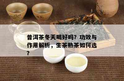 普洱茶冬天喝好吗？功效与作用解析，生茶熟茶如何选？