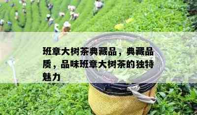 班章大树茶典藏品，典藏品质，品味班章大树茶的独特魅力