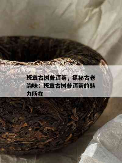 班章古树普洱茶，探秘古老韵味：班章古树普洱茶的魅力所在