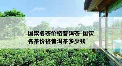 国饮名茶价格普洱茶-国饮名茶价格普洱茶多少钱