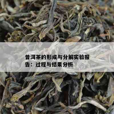 普洱茶的形成与分解实验报告：过程与结果分析