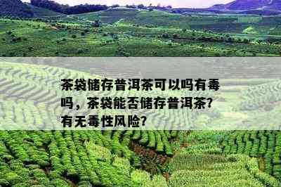 茶袋储存普洱茶可以吗有吗，茶袋能否储存普洱茶？有无性风险？