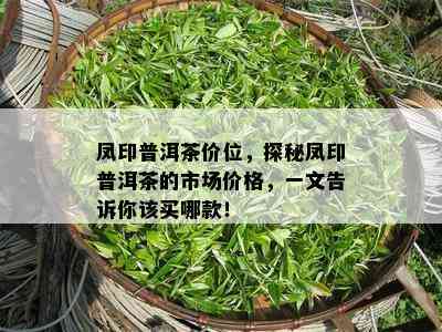 凤印普洱茶价位，探秘凤印普洱茶的市场价格，一文告诉你该买哪款！