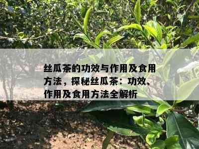 丝瓜茶的功效与作用及食用方法，探秘丝瓜茶：功效、作用及食用方法全解析