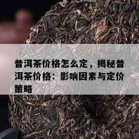 普洱茶价格怎么定，揭秘普洱茶价格：影响因素与定价策略