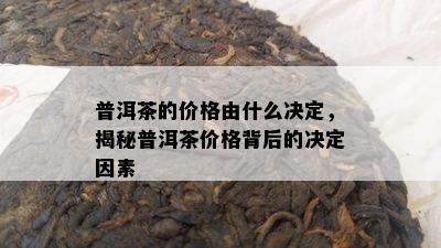 普洱茶的价格由什么决定，揭秘普洱茶价格背后的决定因素