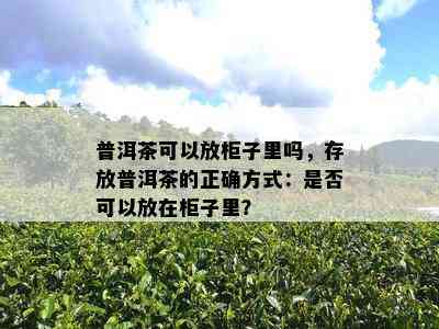 普洱茶可以放柜子里吗，存放普洱茶的正确方式：是否可以放在柜子里？