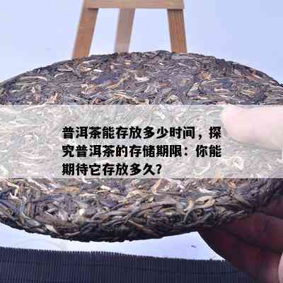 普洱茶能存放多少时间，探究普洱茶的存储期限：你能期待它存放多久？