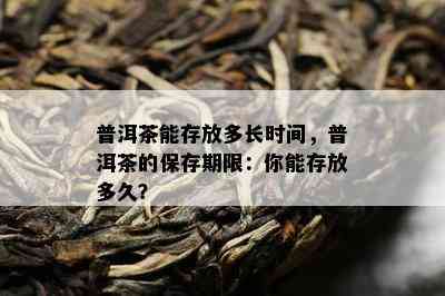 普洱茶能存放多长时间，普洱茶的保存期限：你能存放多久？