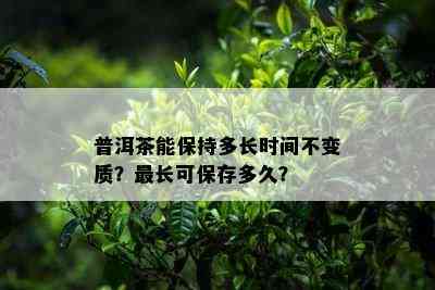 普洱茶能保持多长时间不变质？最长可保存多久？