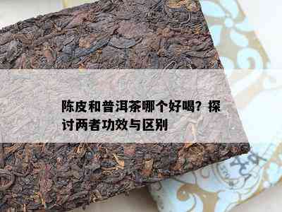 陈皮和普洱茶哪个好喝？探讨两者功效与区别