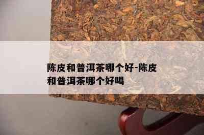 陈皮和普洱茶哪个好-陈皮和普洱茶哪个好喝