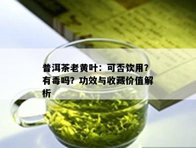 普洱茶老黄叶：可否饮用？有吗？功效与收藏价值解析