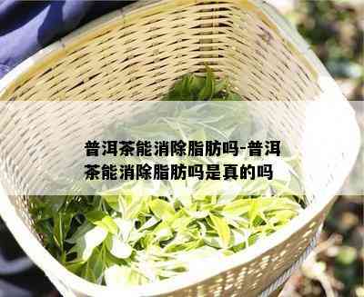 普洱茶能消除脂肪吗-普洱茶能消除脂肪吗是真的吗