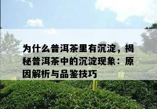 为什么普洱茶里有沉淀，揭秘普洱茶中的沉淀现象：原因解析与品鉴技巧