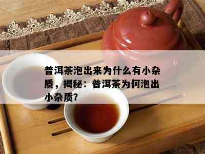 普洱茶泡出来为什么有小杂质，揭秘：普洱茶为何泡出小杂质？