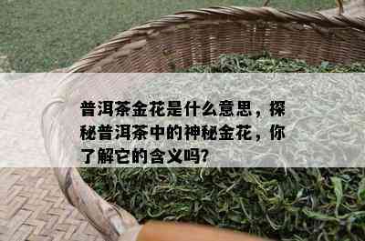 普洱茶金花是什么意思，探秘普洱茶中的神秘金花，你了解它的含义吗？