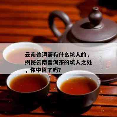 云南普洱茶有什么坑人的，揭秘云南普洱茶的坑人之处，你中招了吗？