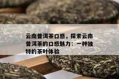 云南普洱茶口感，探索云南普洱茶的口感魅力：一种独特的茶叶体验