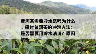 普洱茶需要冷水洗吗为什么，探讨普洱茶的冲泡方法：是否需要用冷水清洗？原因解析