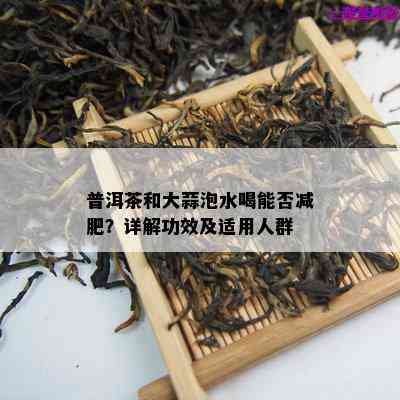 普洱茶和大蒜泡水喝能否减肥？详解功效及适用人群