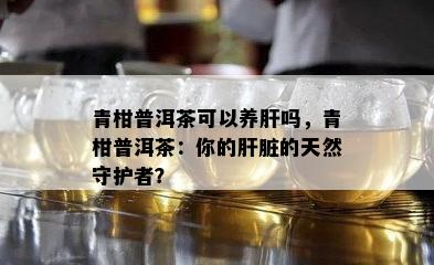 青柑普洱茶可以养肝吗，青柑普洱茶：你的肝脏的天然守护者？